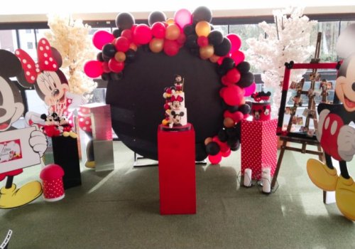 Doğum Günü Organizasyonu