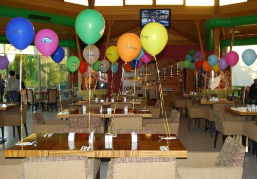 Helyum Gazlı Uçan Balon Temini